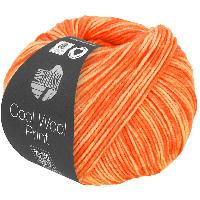Cool Wool Neon Print