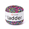 Пряжа YarnArt Ladder цвет 7801