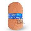 Пряжа Семеновская пряжа Karolina (Каролина) цвет 10742