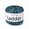Пряжа YarnArt Ladder цвет 7805